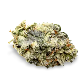 Photo of Harlequin Feminized Seeds