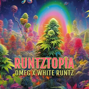 Photo of Runtztopia