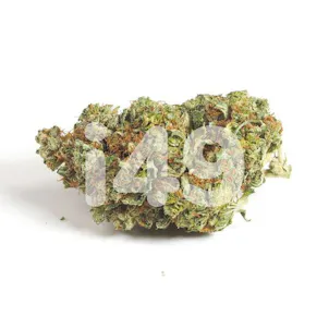 Photo of Alien Gorilla Glue Fem