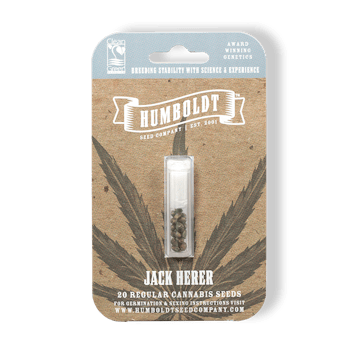 Photo of Jack Herer Regular Cannabis Seeds