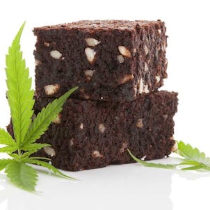 Photo of Marijuana 101 Certificate Program