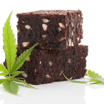 Photo of Marijuana 101 Certificate Program