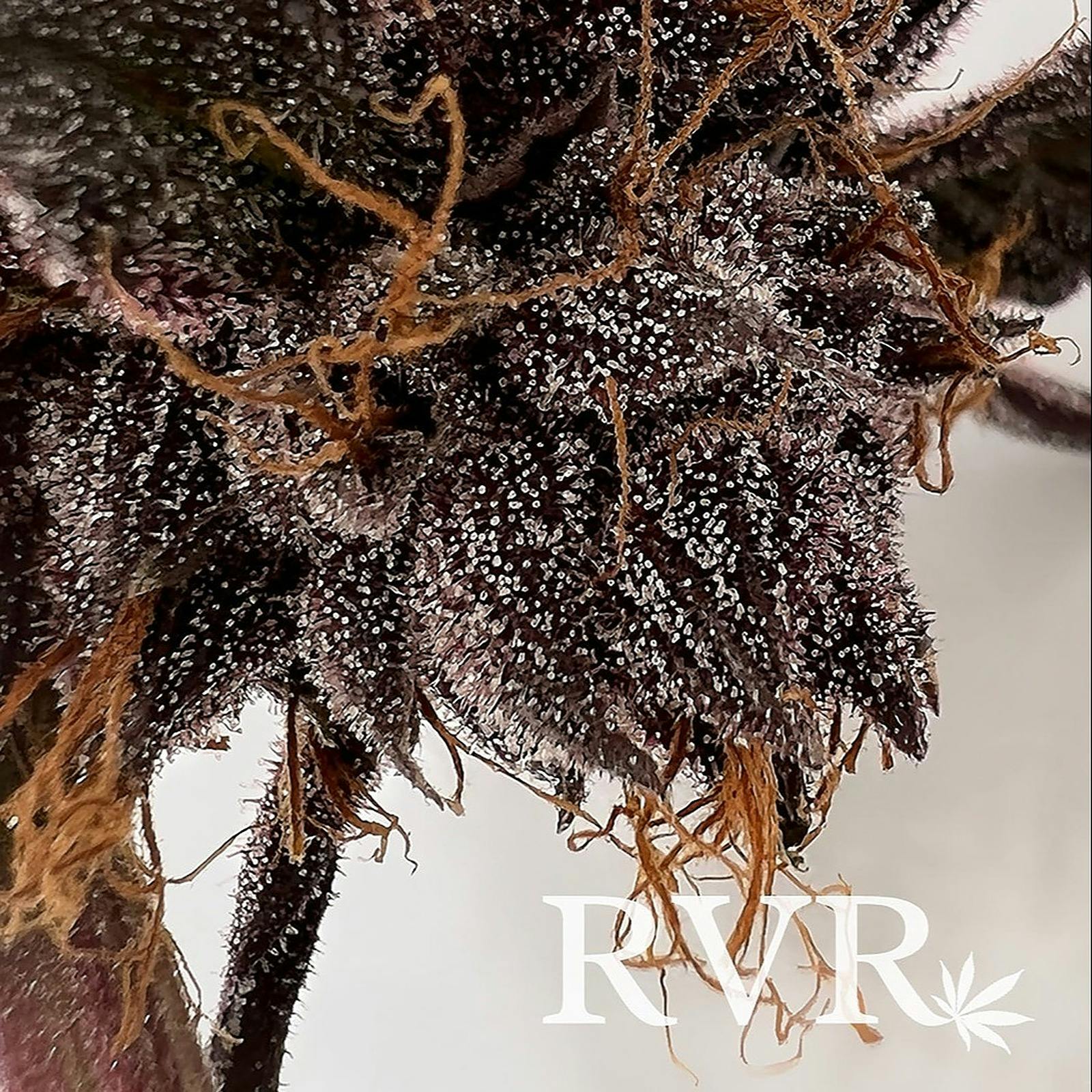 River Valley Relief Kush Mints Hybrid Flower Leafly