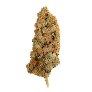 Photo of Tango 28g