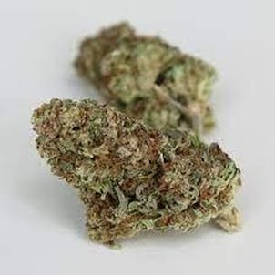 Photo of AUTO RINGO'S GIFT SEEDS