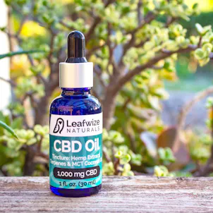 Photo of CBD Oil for Pets & Humans
