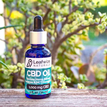 Photo of CBD Oil for Pets & Humans
