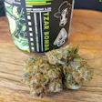 Product image for Tzar Bomba Fem Seeds