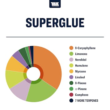 Photo of Superglue Profile Strain