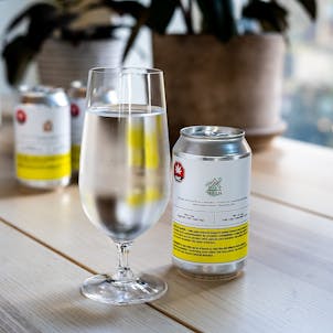 Photo of Melon d'eau et Menthe - 5 mg