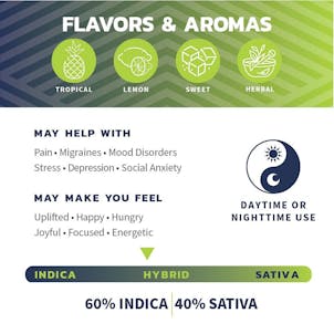 Photo of Clementine x Purple Punch