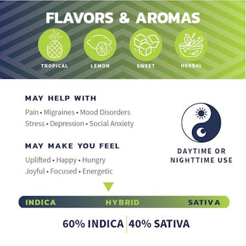 Photo of Clementine x Purple Punch