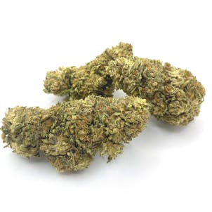 Photo of White Wonder CBG