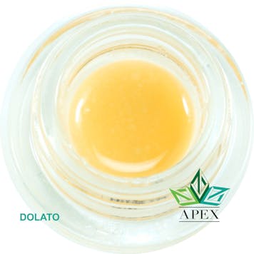 Photo of Dolato (Yellow)