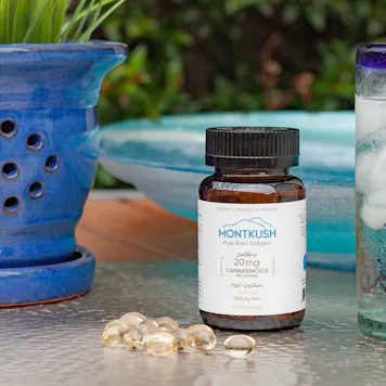 Photo of Full Spectrum 20mg CBD Softgels 60-pack | 1200mg