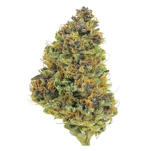 Product image for Wonder Goo