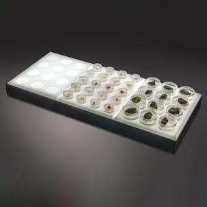 Photo of Xtract Display Trays™