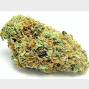 Photo of AK 47