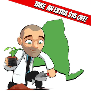 Photo of ILGM in New York