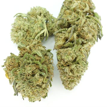 Photo of CherryHD CBD Seed