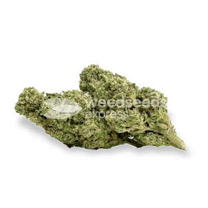 Photo of Cherry AK Autoflower Seeds