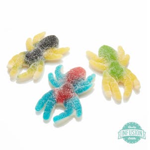 Photo of Spooky Spider (Seasonal)