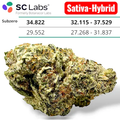 HASH BURGER AAA EXOTIC THCA FLOWER 10G ONLY $56  OR 60G $300 🔥 30+ NEW EXOTIC THCA STRAINS DROP