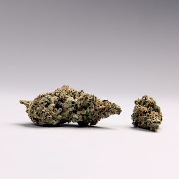 Photo of Green Crack, Single-Strain Pak