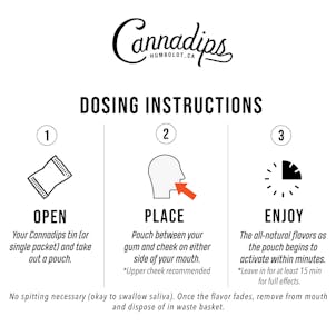 Photo of Mint Flavor High-Dose Tins