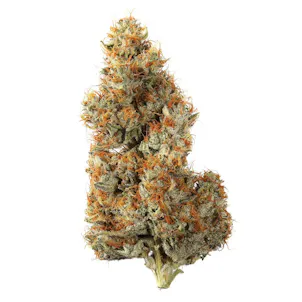 Photo of Midnite 14g