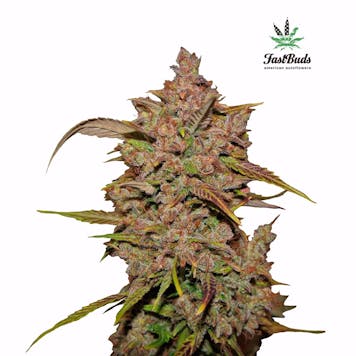 Photo of Crystal Meth