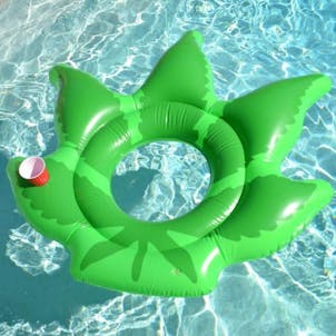 Photo of Giant Weed Leaf Pool Float