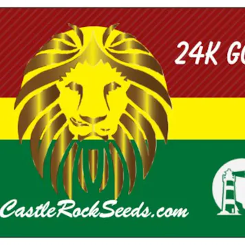 Photo of 24K GOLD – Single Seed