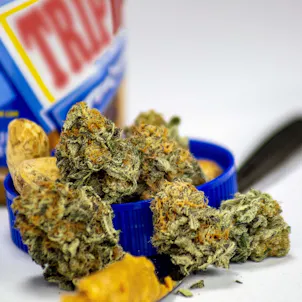 Photo of Peanut Butter Breath