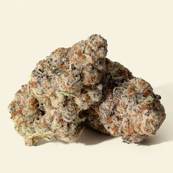 Photo of Pulse Storm