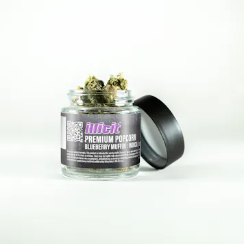 Photo of Blueberry Muffin 7g Popcorn Flower