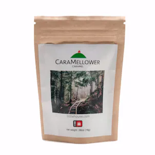 Photo of CaraMellower