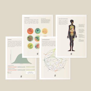 Photo of Medical Cannabis Infographic Cards