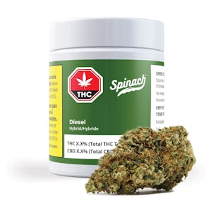 Photo of Spinach™ Diesel