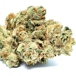 Photo of Alien Dawg