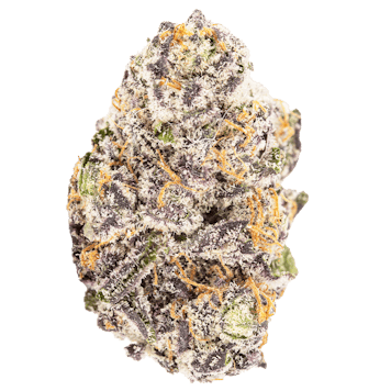 Photo of Mike the Credit Champ "The 800 Club" by JUIK 3.5g