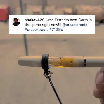 Photo of Lemon Tree Liquid Diamond Sauce Cartridge