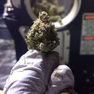 Photo of Machine Trimming