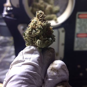 Photo of Machine Trimming