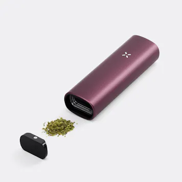 Photo of PAX PLUS - Elderberry