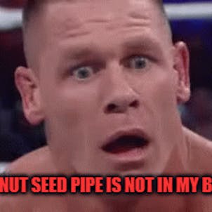 Photo of Yin Yan Coconut Seed Pipes