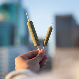 Photo of G1 CannaMold - Small