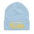 Product image for Blue Beanie w/ Gold Signature
