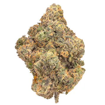 Photo of Rainbow Tartz - 3.5G Top Shelf Indoor Flower