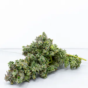 Photo of Mac Daddy Flower